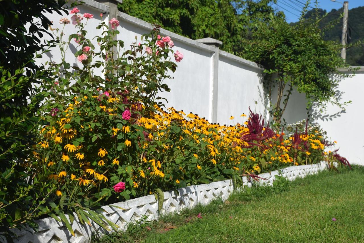 Casa Sonya *