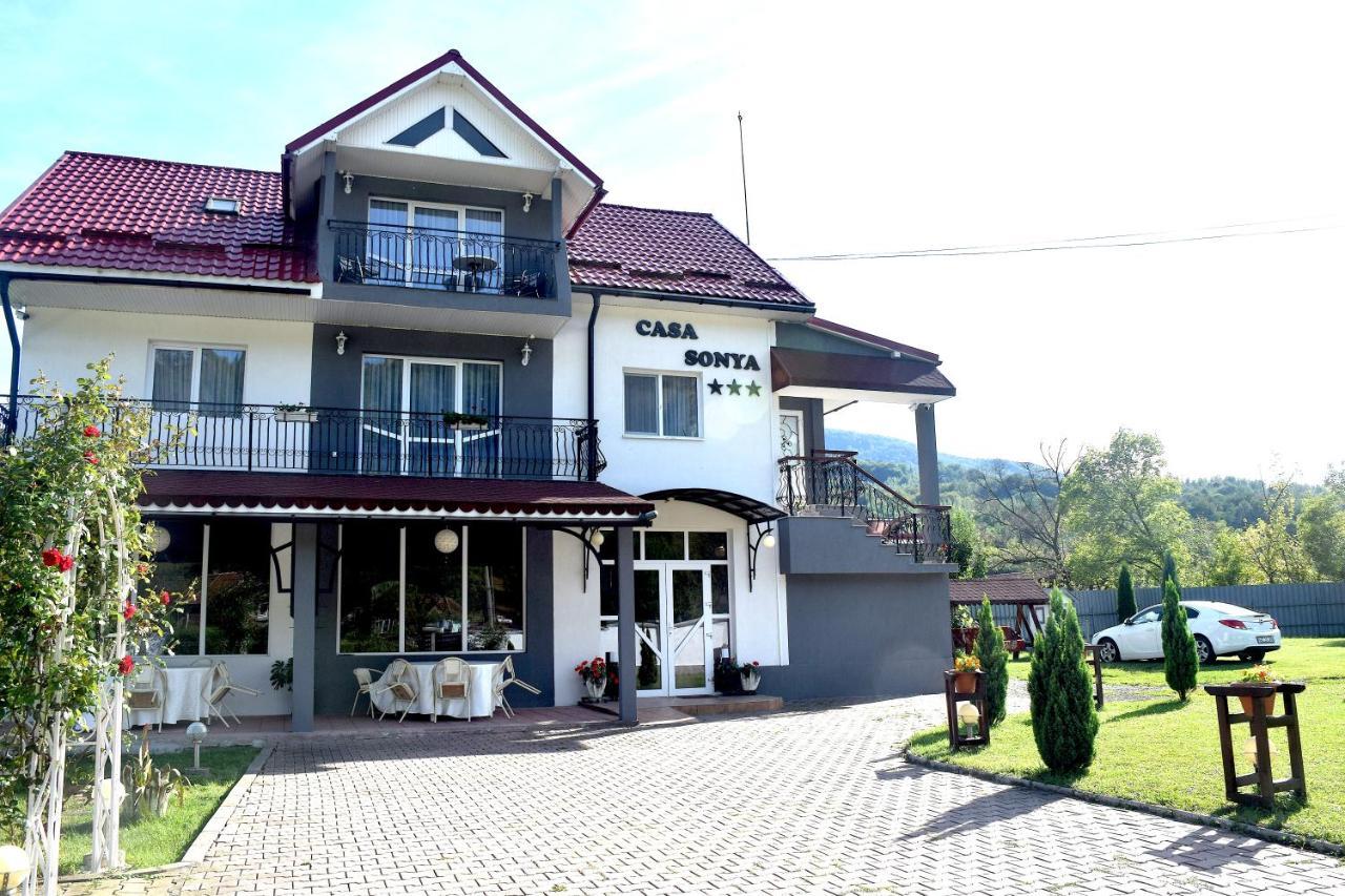 Casa Sonya * Aninoasa