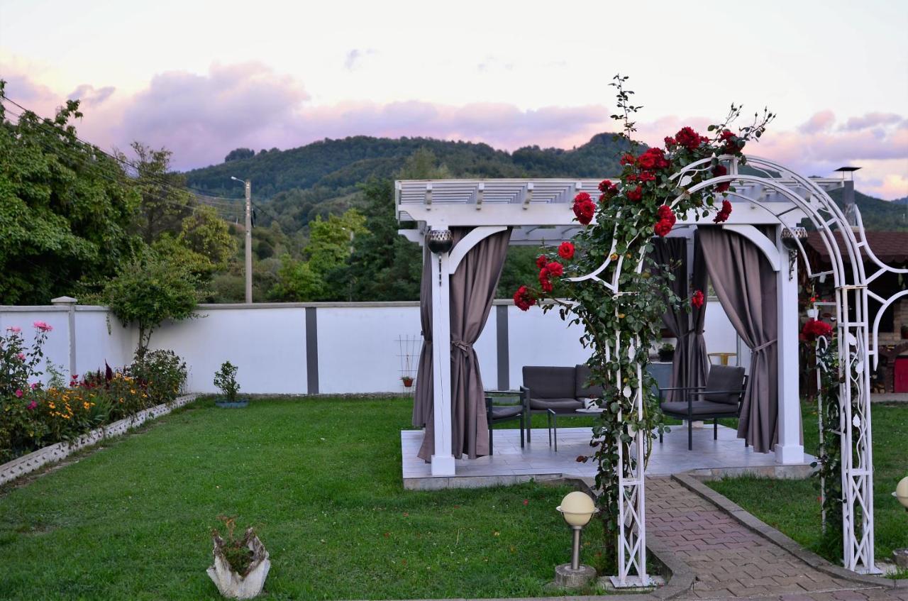 Homestay Casa Sonya *